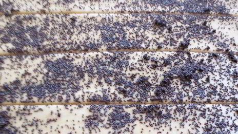 булочки со сливочным кремом