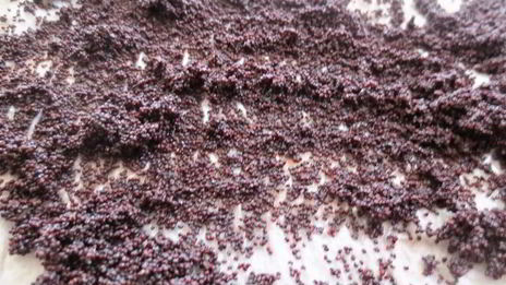 булочки со сливочным кремом