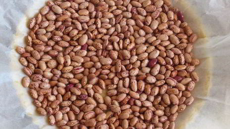 кростата с клубникой и миндальным заварным кремом