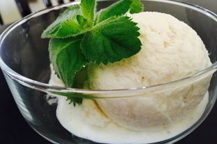 Диетическое мороженое Пломбир