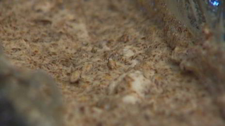 хлебное мороженое семифреддо по-русски