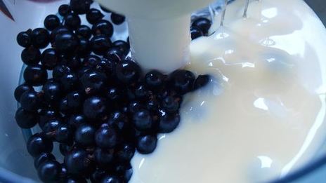 мороженое черносмородиновое