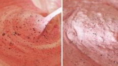 мороженое из голубики и красной смородины