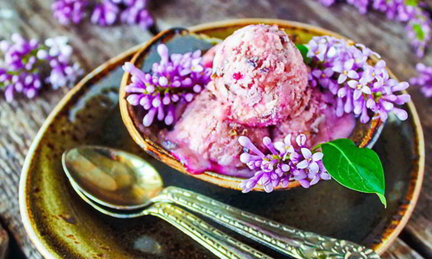Рецепт мороженого из сирени