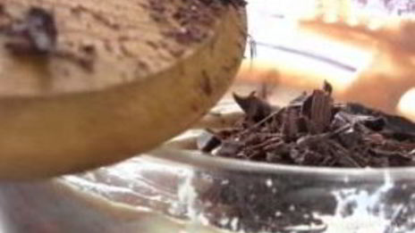 мороженое из творога с шоколадом