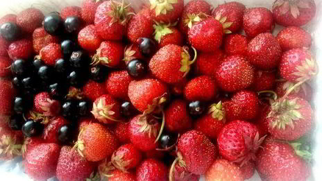 мороженое в ягодном раю