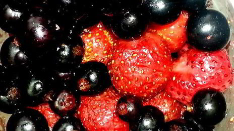 мороженое в ягодном раю