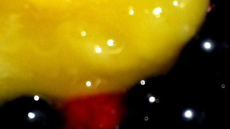 мороженое в ягодном раю