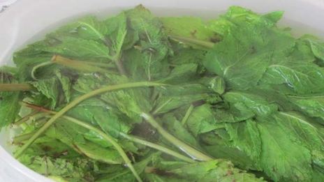 торт-мороженое арбуз