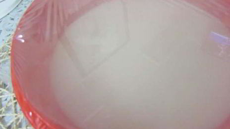 торт-мороженое арбуз