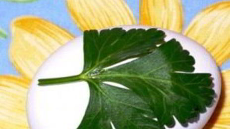 пасхальные крашеные яйца