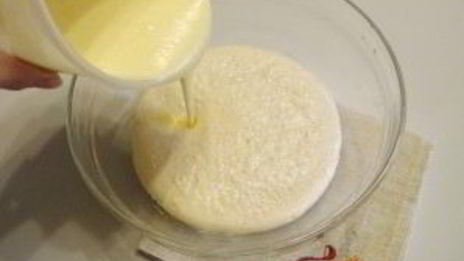 творожный кулич на пасху