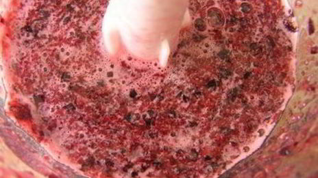 пудинг с черешней