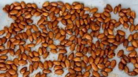 жареный миндаль с медом