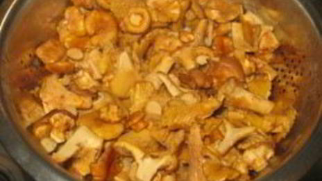 картошка со свежими грибами жареная