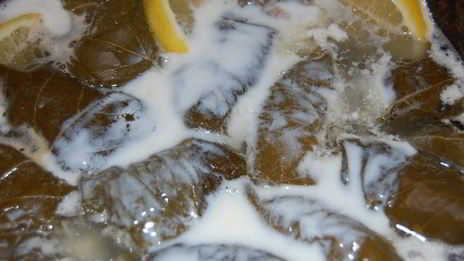 долма из виноградных листьев