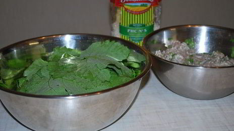 долма с чесночным соусом и кинзой