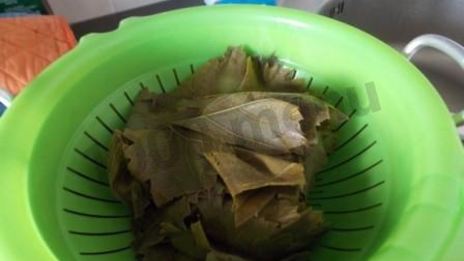 долма с мятой и круглым рисом