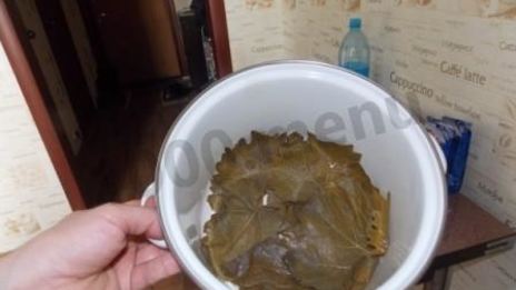 долма с мятой и круглым рисом