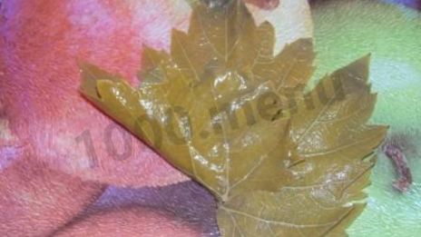 долма с мятой и круглым рисом