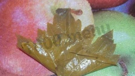 долма с мятой и круглым рисом