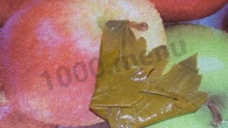 долма с мятой и круглым рисом