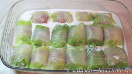 голубцы из пекинской капусты