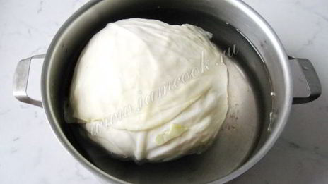 голубцы в сметанном соусе