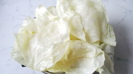 голубцы в сметанном соусе