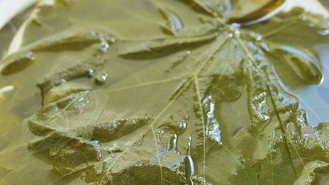 голубцы в виноградных листьях