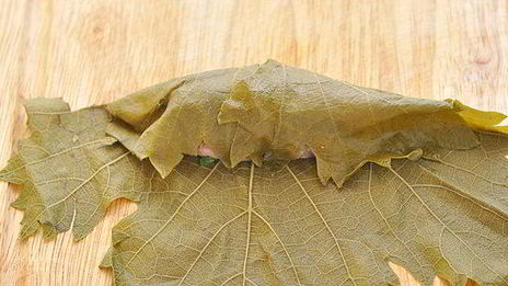 голубцы в виноградных листьях