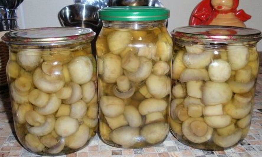 Рецепт домашних консервированных шампиньонов