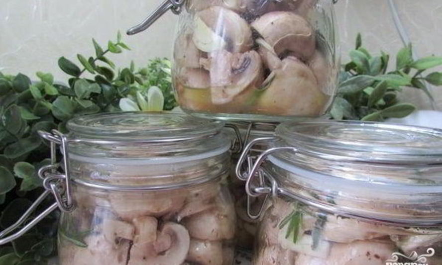 Рецепт грибов с розмарином