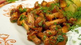 Жареные рыжики