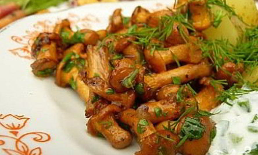 Рецепт жареных рыжиков