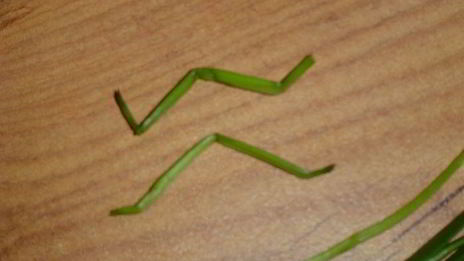 картофельное пюре паучки