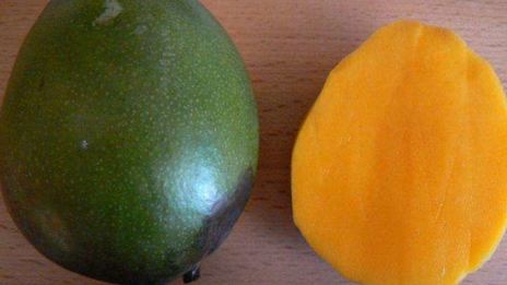 лапша удон с курицей