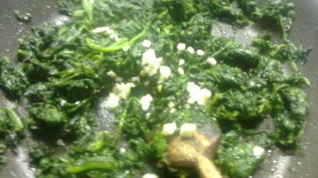 каннелони с рикотой и шпинатом под бешамелем