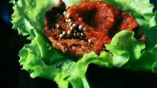 Паста из фасоли и перца