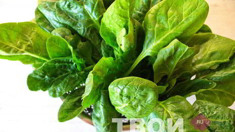 куриная грудка со шпинатом