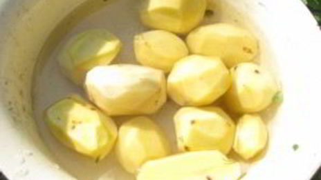 курица на костре в фольге