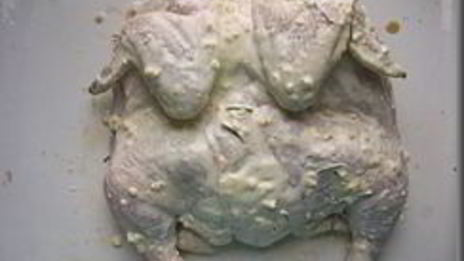 курица запеченная в духовке с розмарином