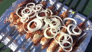 Люля-кебаб из куриного мяса