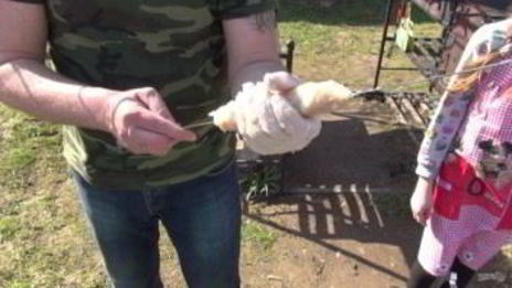 люля-кебаб из куриного мяса