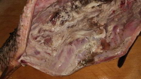 сазан, запеченный с гречкой, по-астрахански