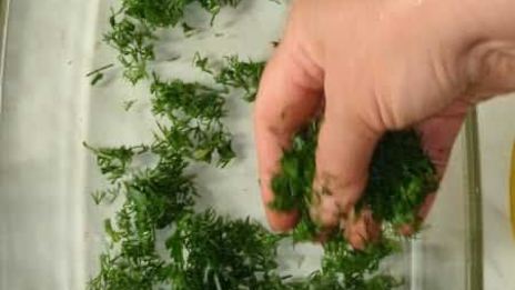 баклажаны соленые по-кавказски