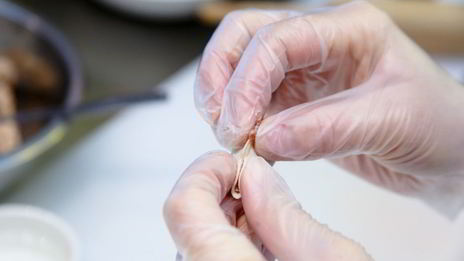 пельмени с лососем