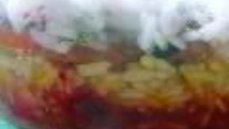 трехцветный плов