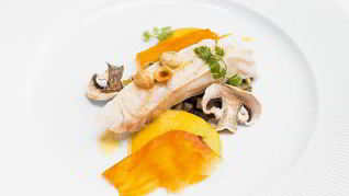 Тюрбо с пеной из сладкого картофеля и фрикасе из шампиньонов