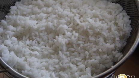 запеканка фрикасе из курицы